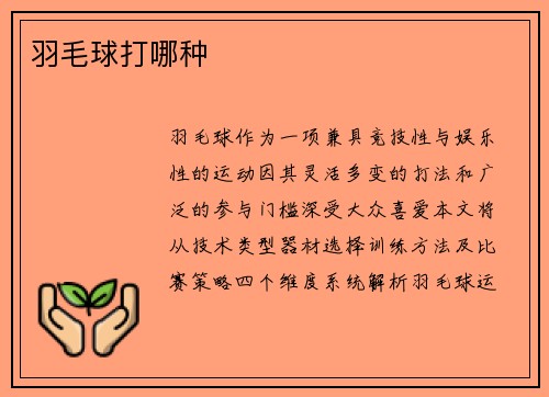 羽毛球打哪种