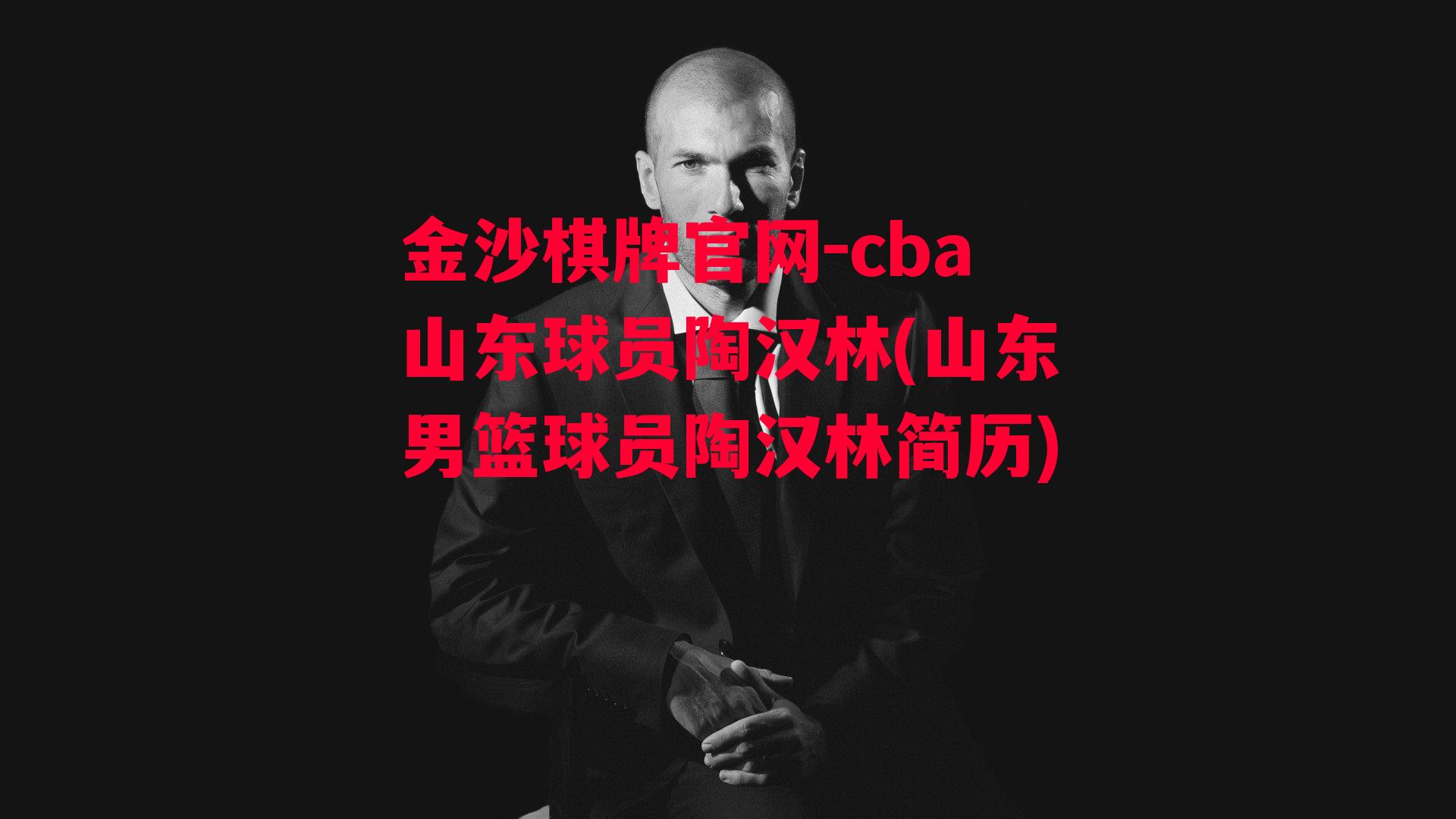 cba山东球员陶汉林(山东男篮球员陶汉林简历)